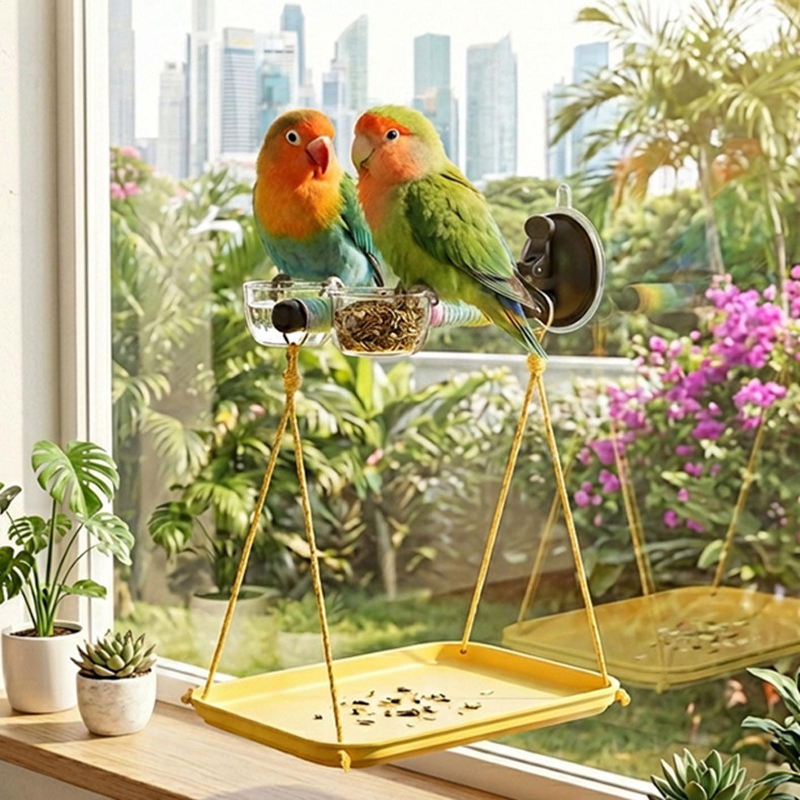 吸盤と糞便受け皿付きの鳥用窓飾り、インコ、オカメインコ、コニ - Racing Arcade Cabinet のレビューと価格